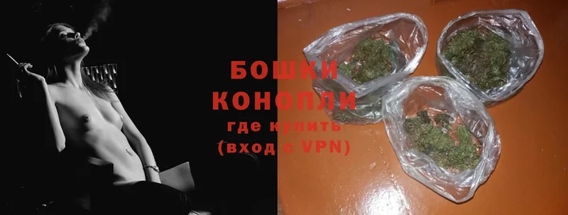 Конопля OG Kush  Владикавказ 